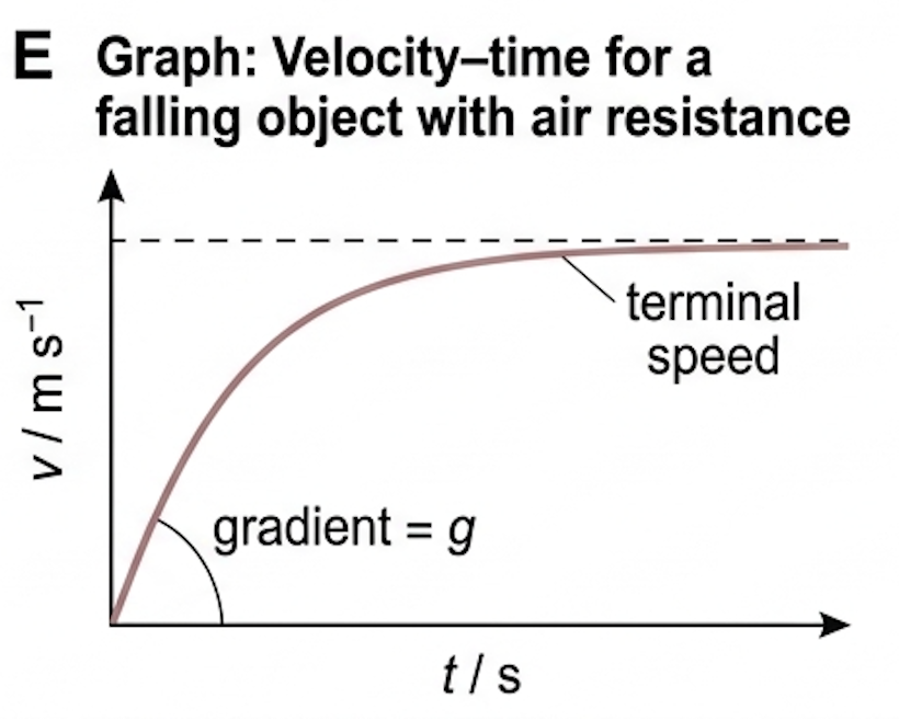 Velocity-time graph for a falling object with air resistance, curving and levelling off at terminal speed