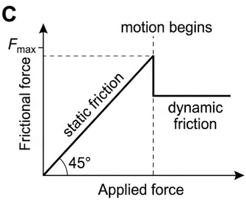 Graph of frictional force against applied force showing static region, peak and lower constant dynamic region